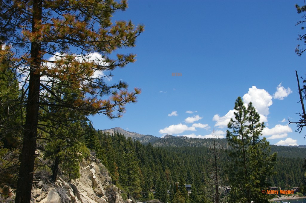 Lake Tahoe Relay 06.13 (6)