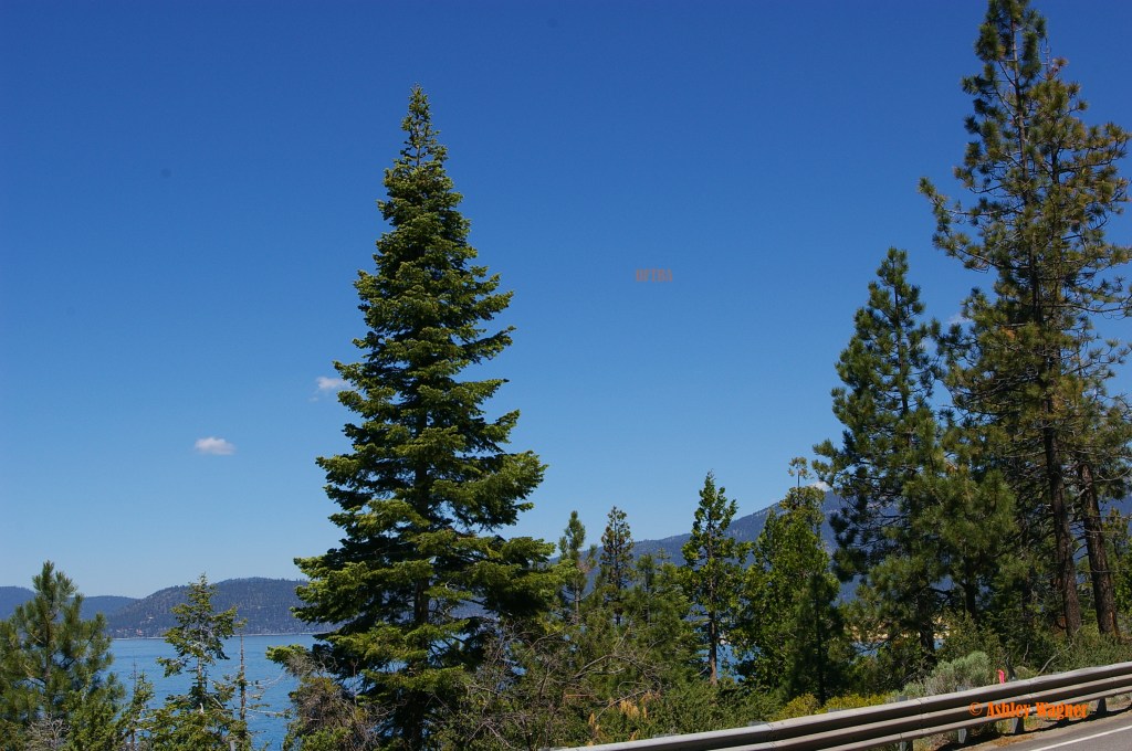 Lake Tahoe Relay 06.13 (60)