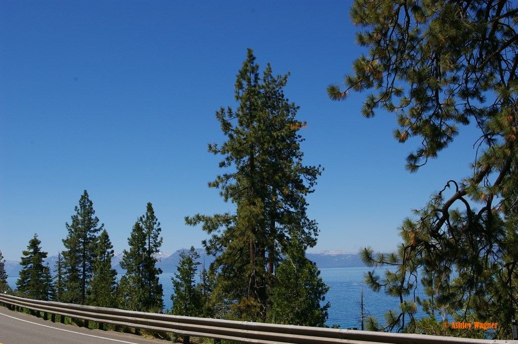 Lake Tahoe Relay 06.13 (61)