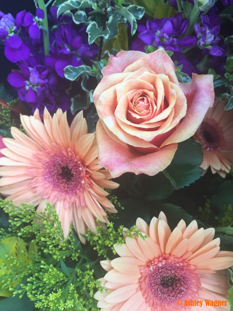 Photo Apr 10, 4 28 52 PM