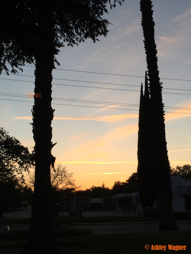 Photo Apr 11, 7 40 27 PM