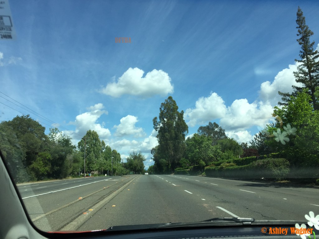 Photo Apr 25, 2 51 15 PM