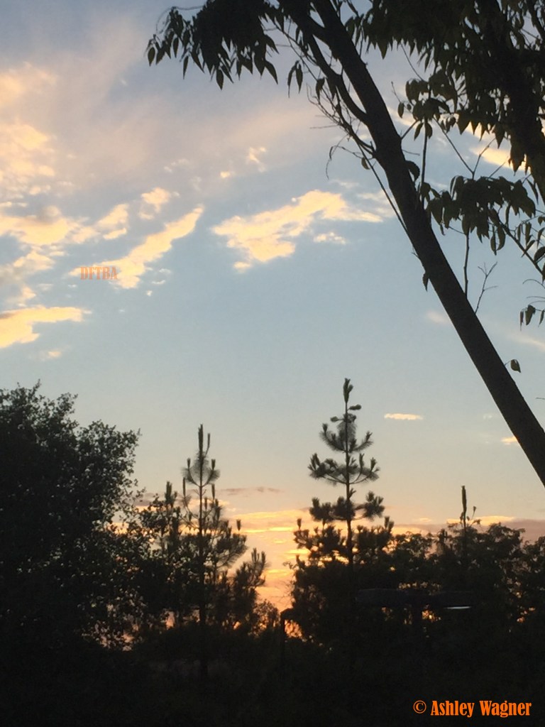 Photo Jul 01, 8 21 42 PM