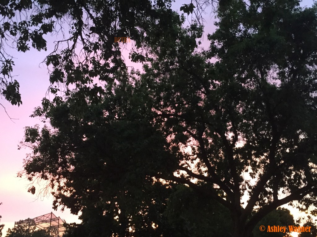 Photo Jul 02, 8 30 01 PM