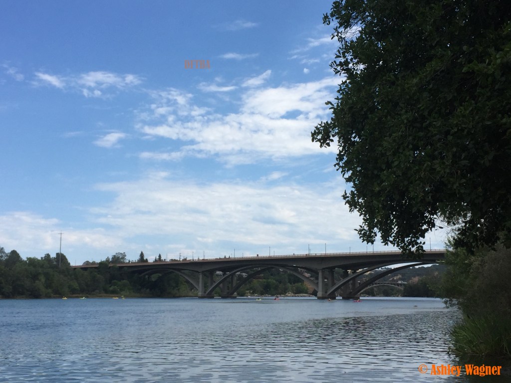 Photo Jul 03, 11 23 41 AM