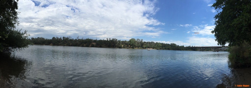 Photo Jul 03, 11 23 52 AM