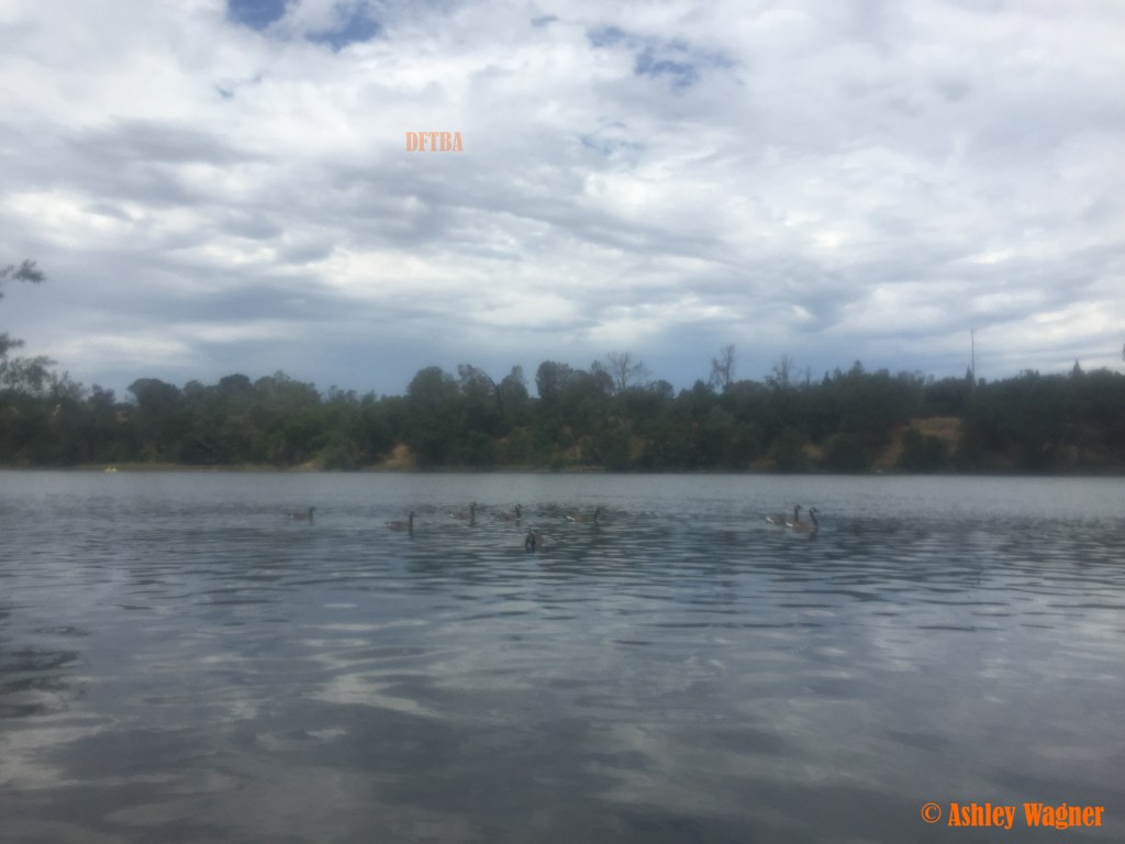 Photo Jul 03, 11 25 19 AM