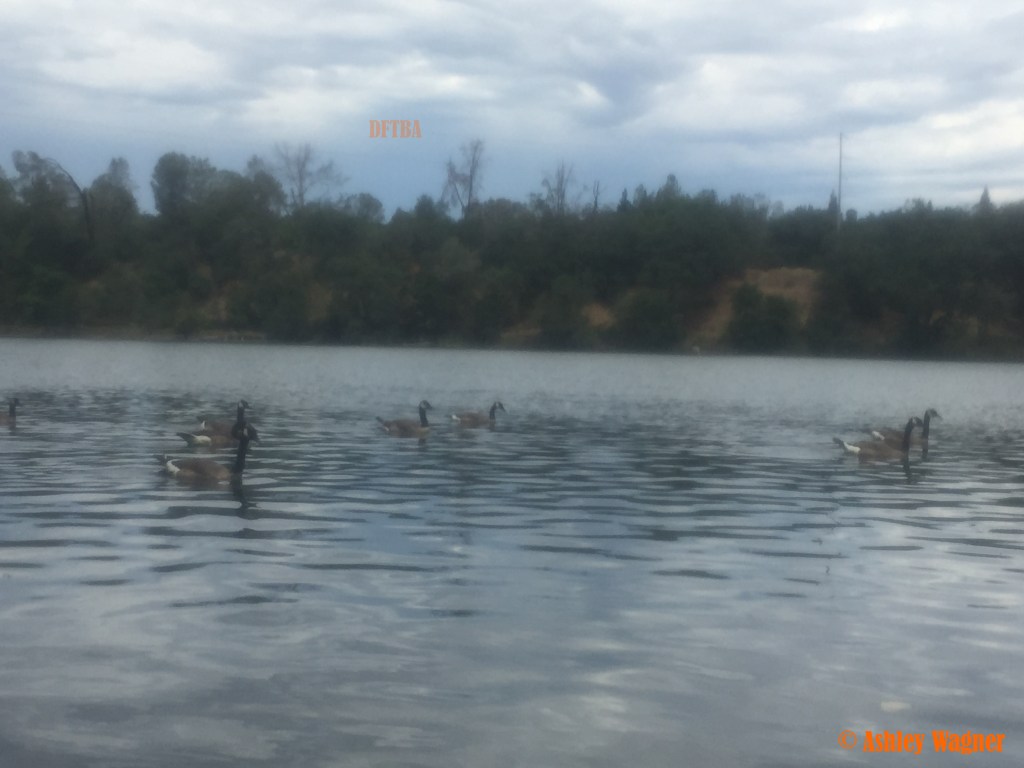 Photo Jul 03, 11 25 27 AM