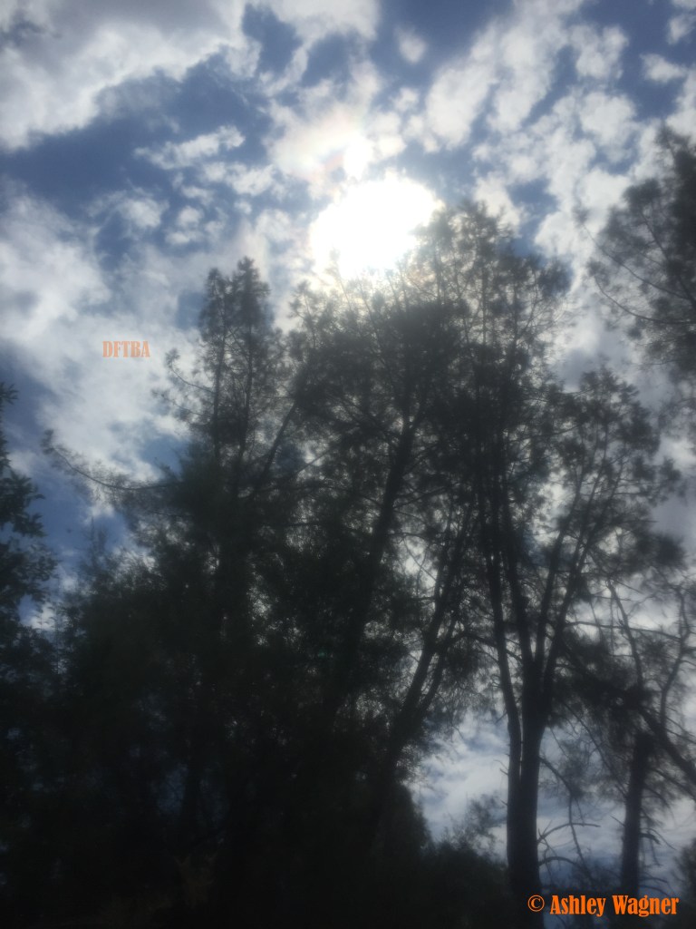 Photo Jul 03, 11 42 21 AM