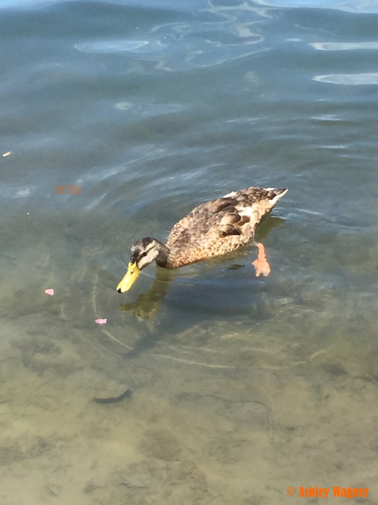 Photo Jul 03, 12 33 03 PM