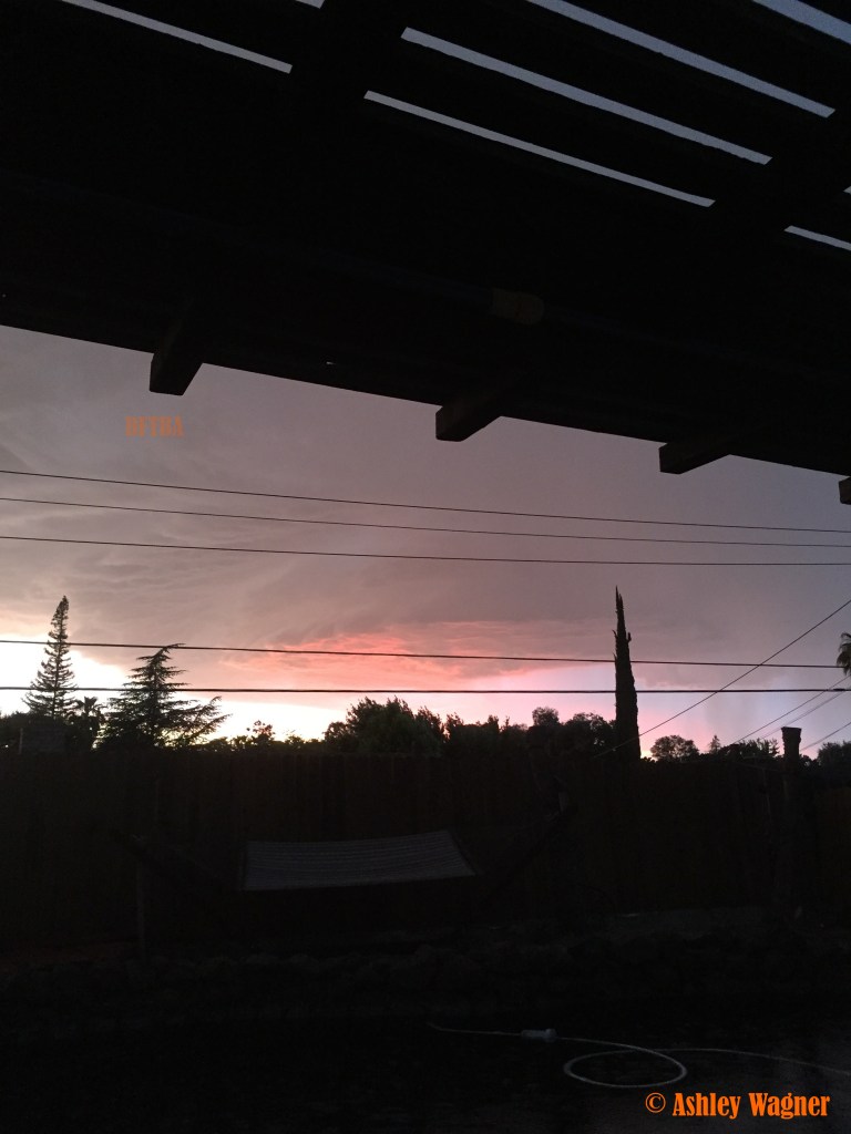 Photo Jun 05, 8 29 02 PM