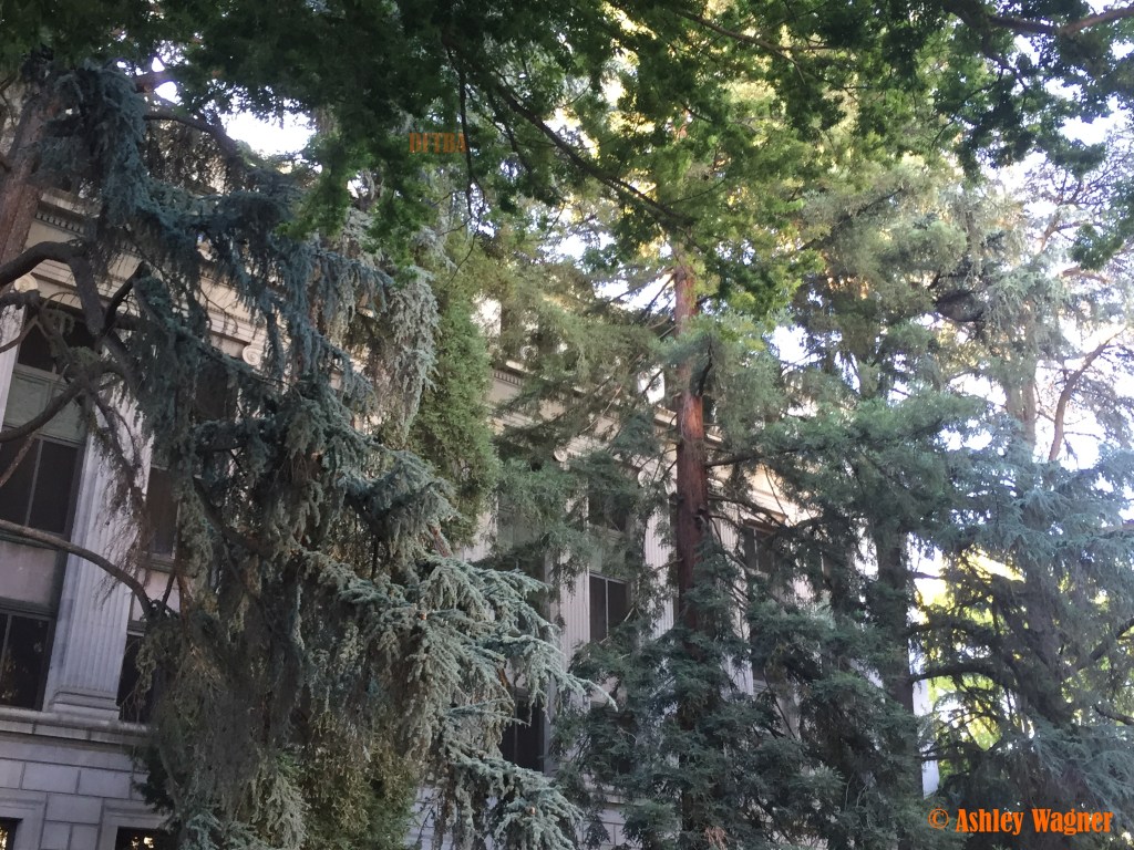 Photo Jun 07, 7 21 07 AM