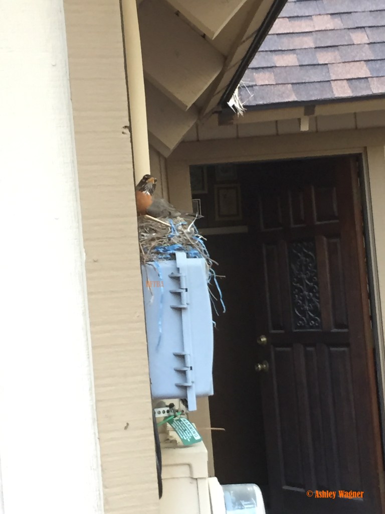 Photo Jun 11, 6 58 18 PM