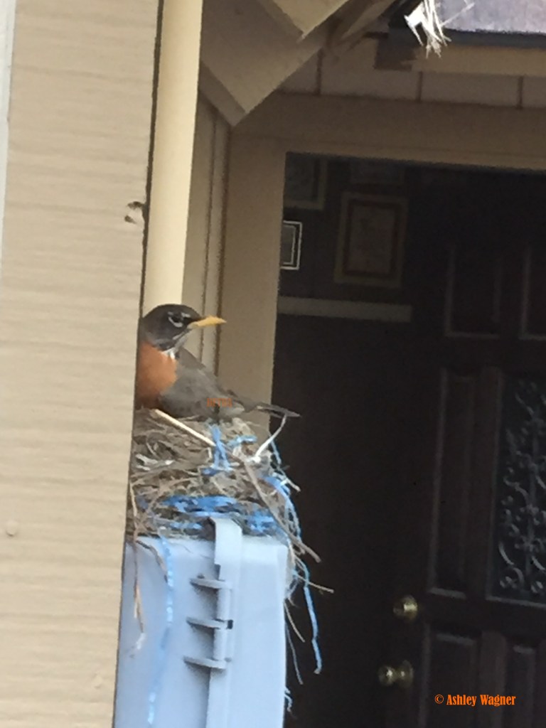 Photo Jun 11, 6 58 22 PM