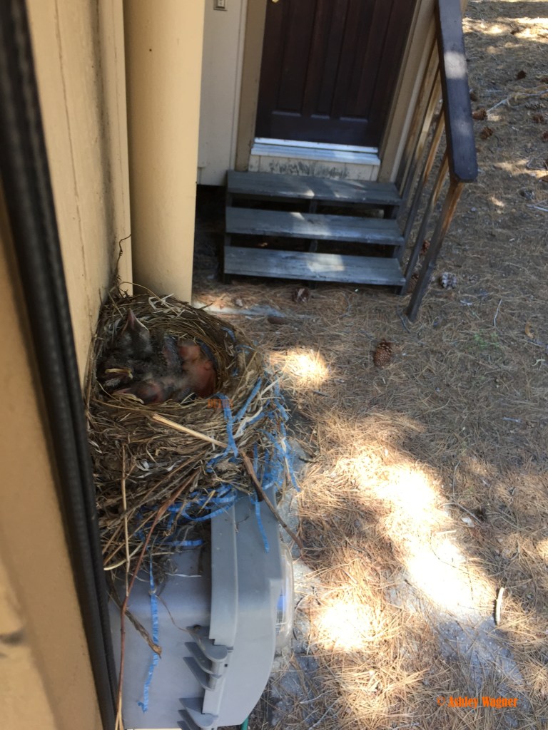 Photo Jun 12, 10 51 19 AM