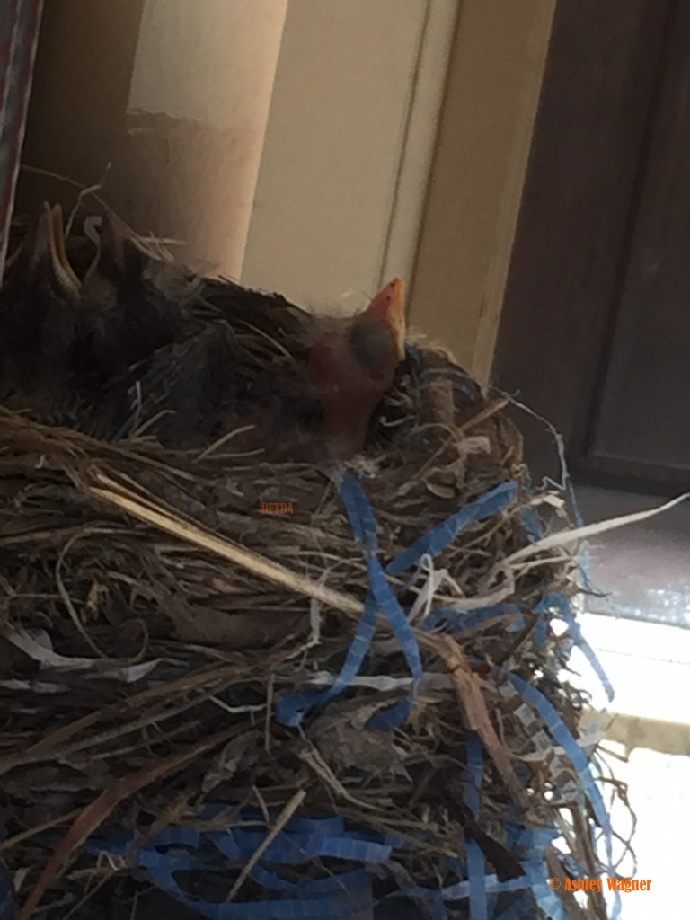 Photo Jun 12, 12 39 20 PM