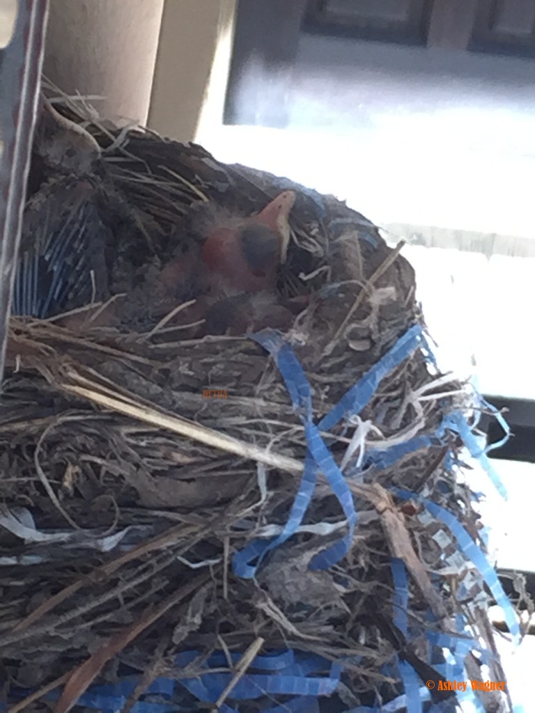 Photo Jun 12, 12 39 27 PM