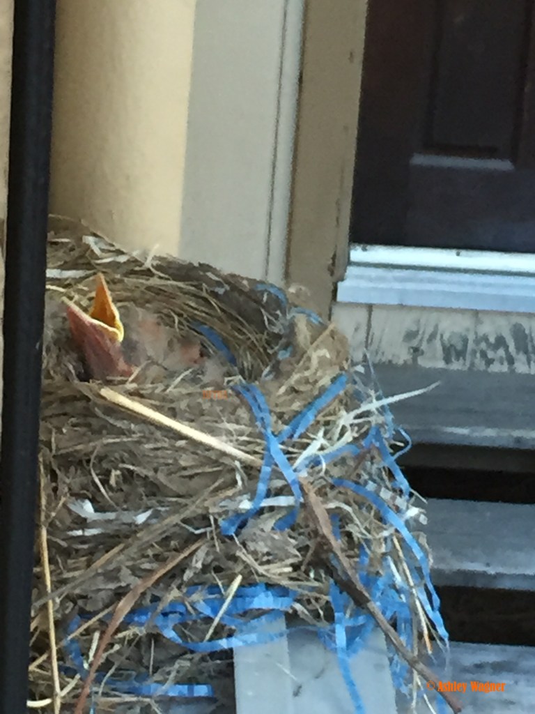 Photo Jun 12, 7 09 23 PM