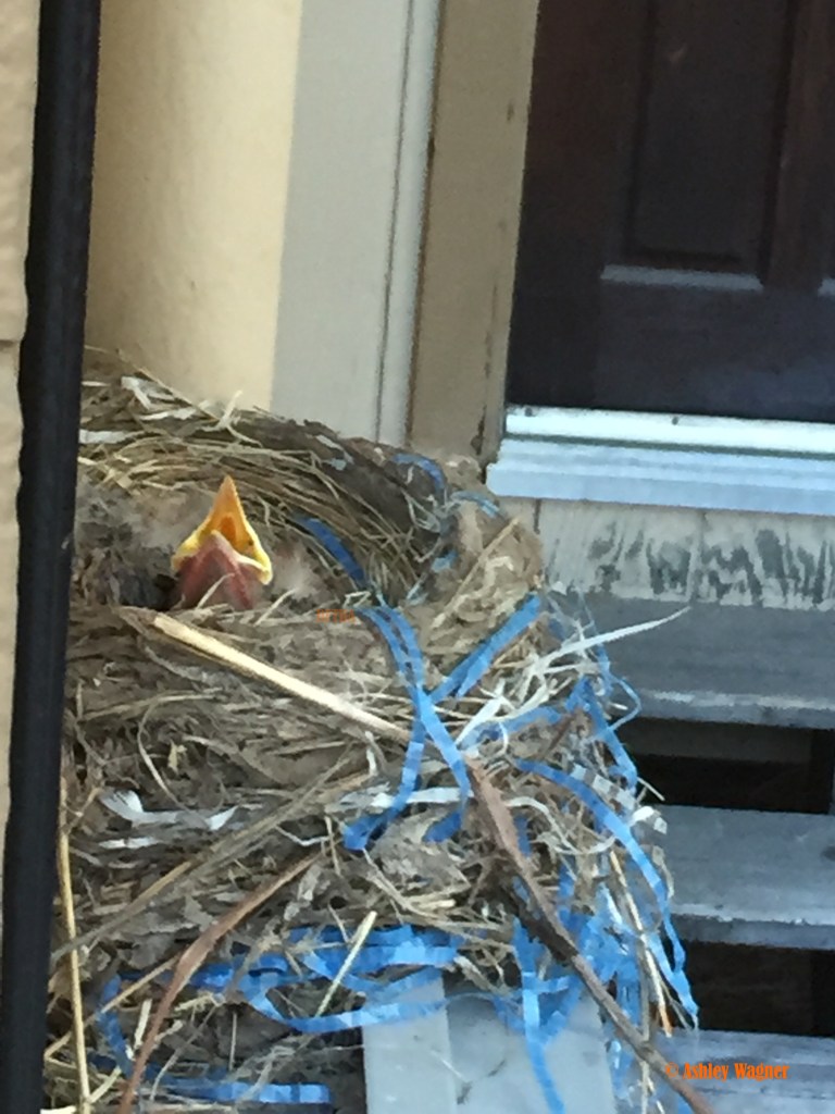 Photo Jun 12, 7 09 24 PM