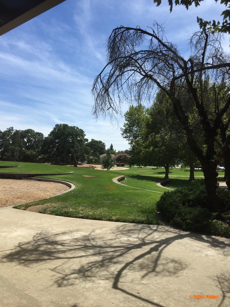 Photo Jun 20, 3 15 22 PM