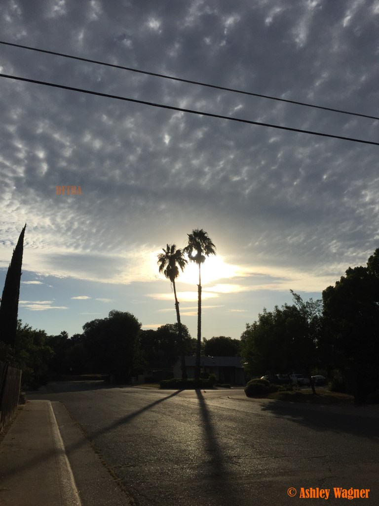 Photo Jun 26, 7 11 19 PM