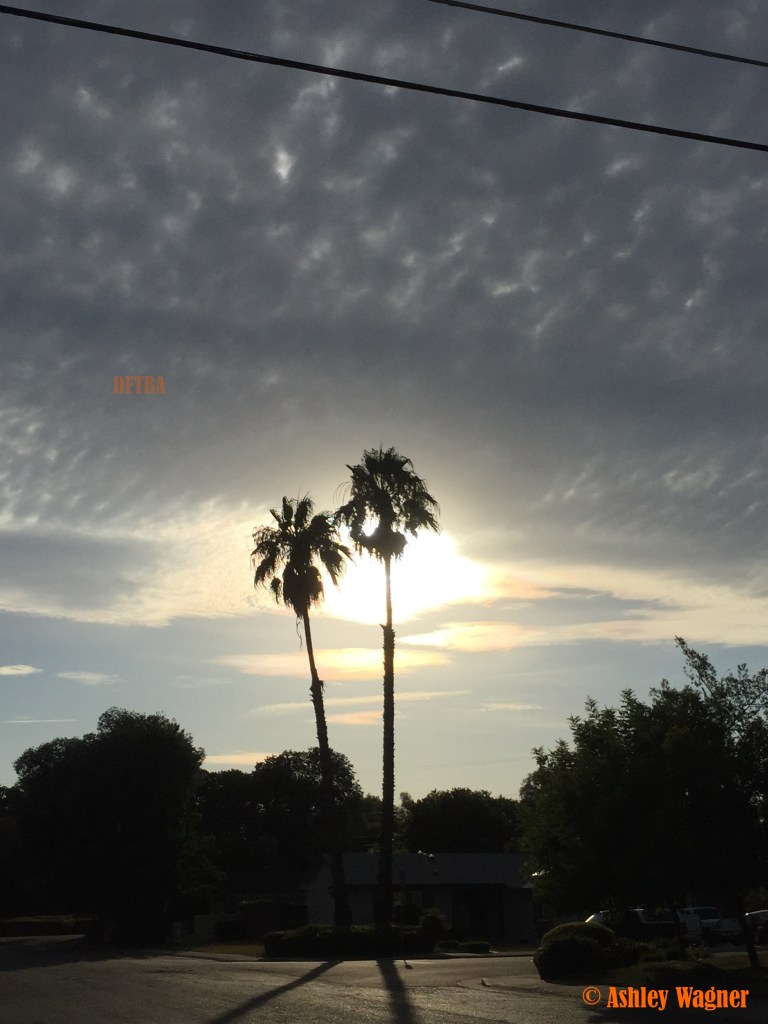 Photo Jun 26, 7 11 21 PM