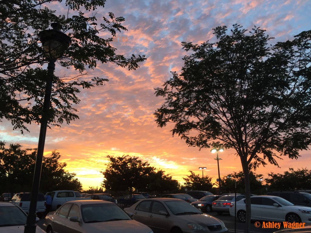 Photo Jun 26, 8 40 52 PM