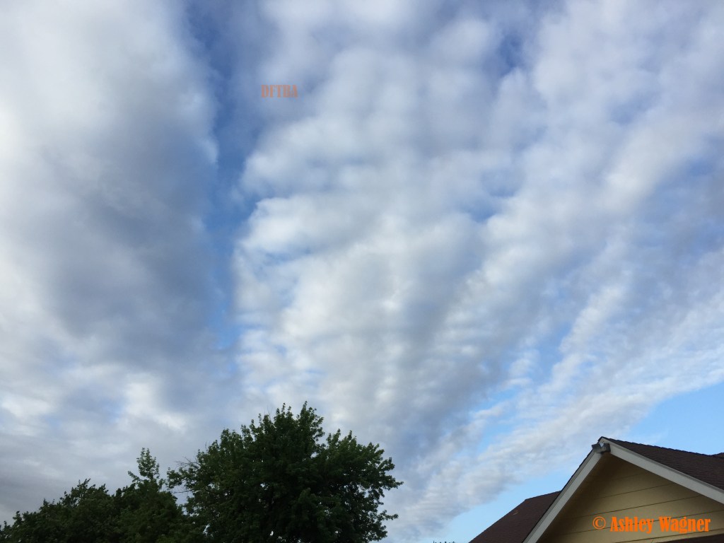 Photo May 12, 7 18 17 AM