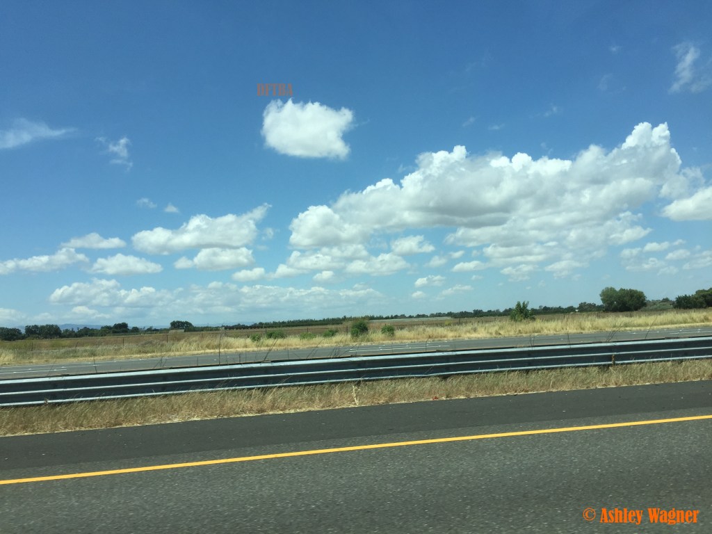 Photo May 15, 1 18 54 PM