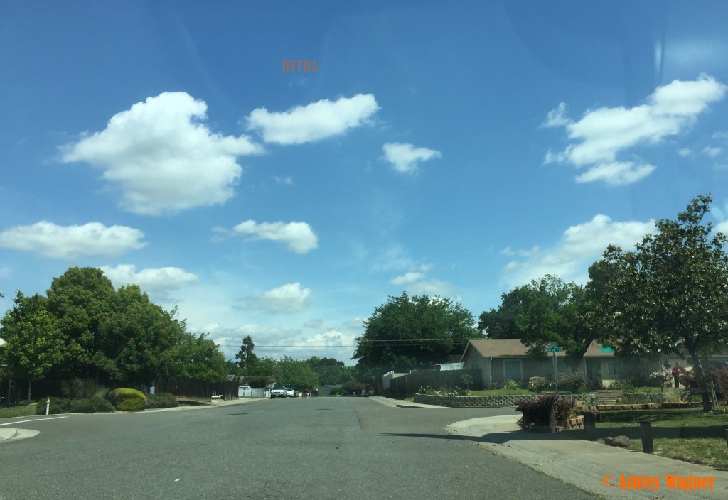 Photo May 15, 2 05 43 PM