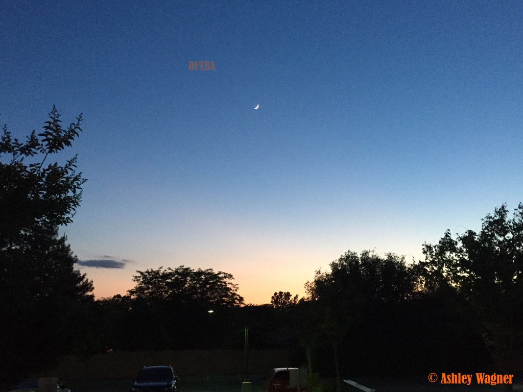 Photo May 20, 8 42 45 PM