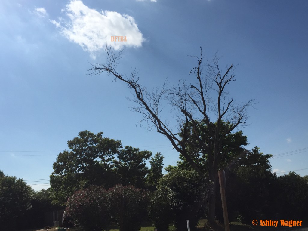 Photo May 22, 4 40 50 PM