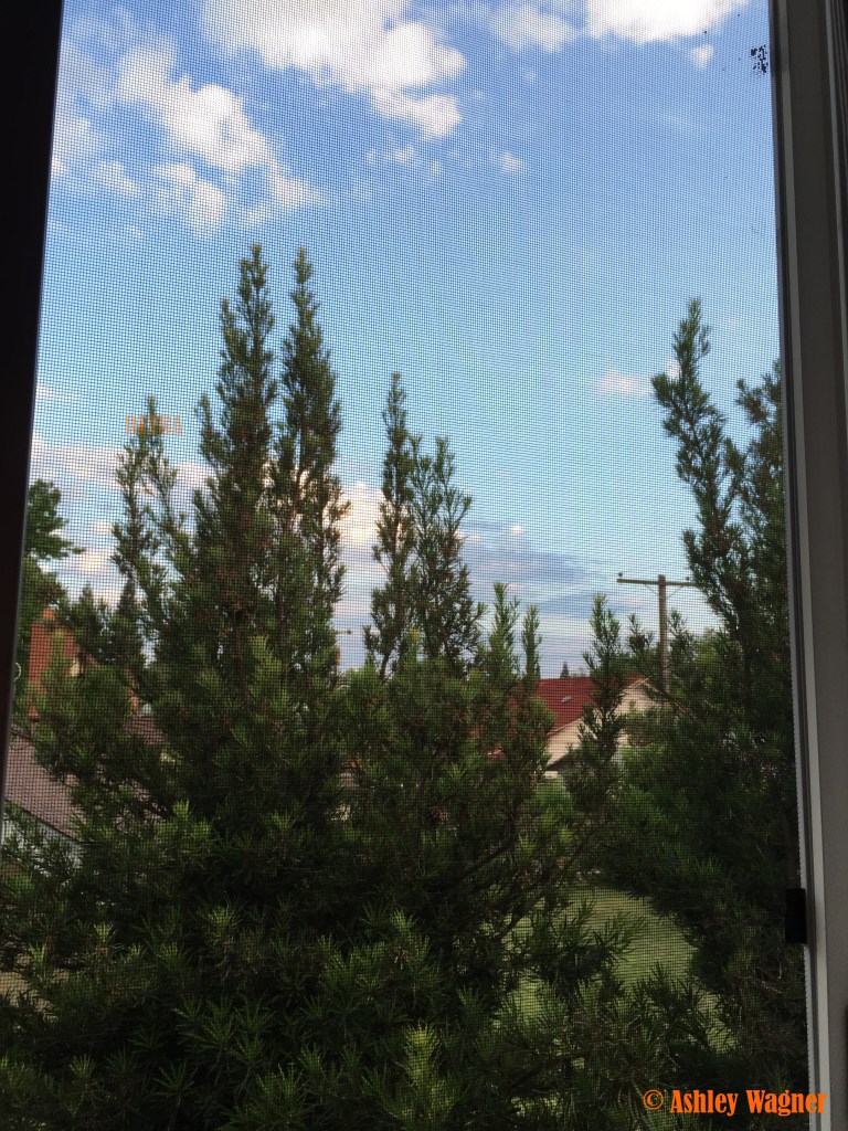 Photo May 22, 7 42 23 PM