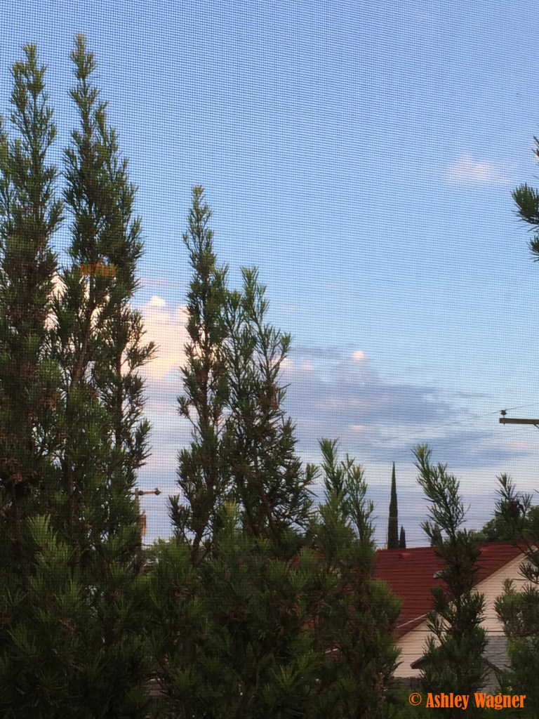 Photo May 22, 7 42 46 PM