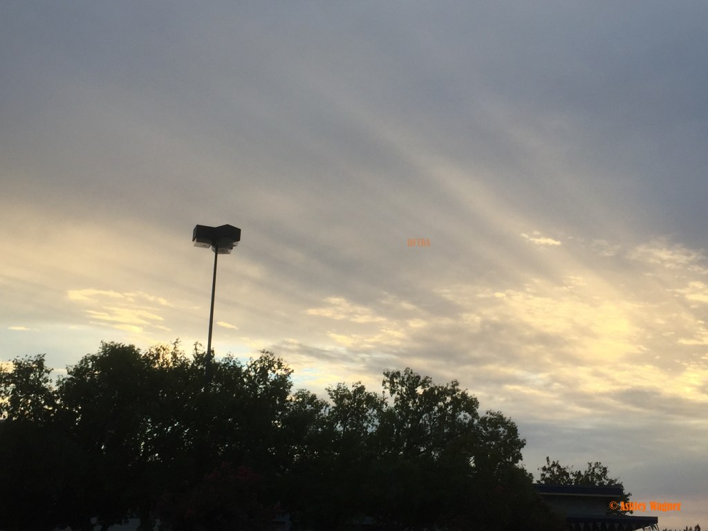 Photo Aug 06, 7 54 03 PM