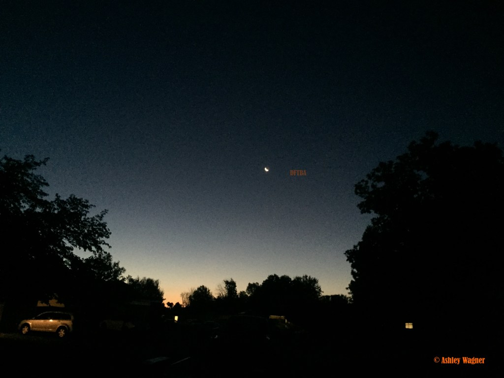 Photo Aug 11, 5 35 53 AM