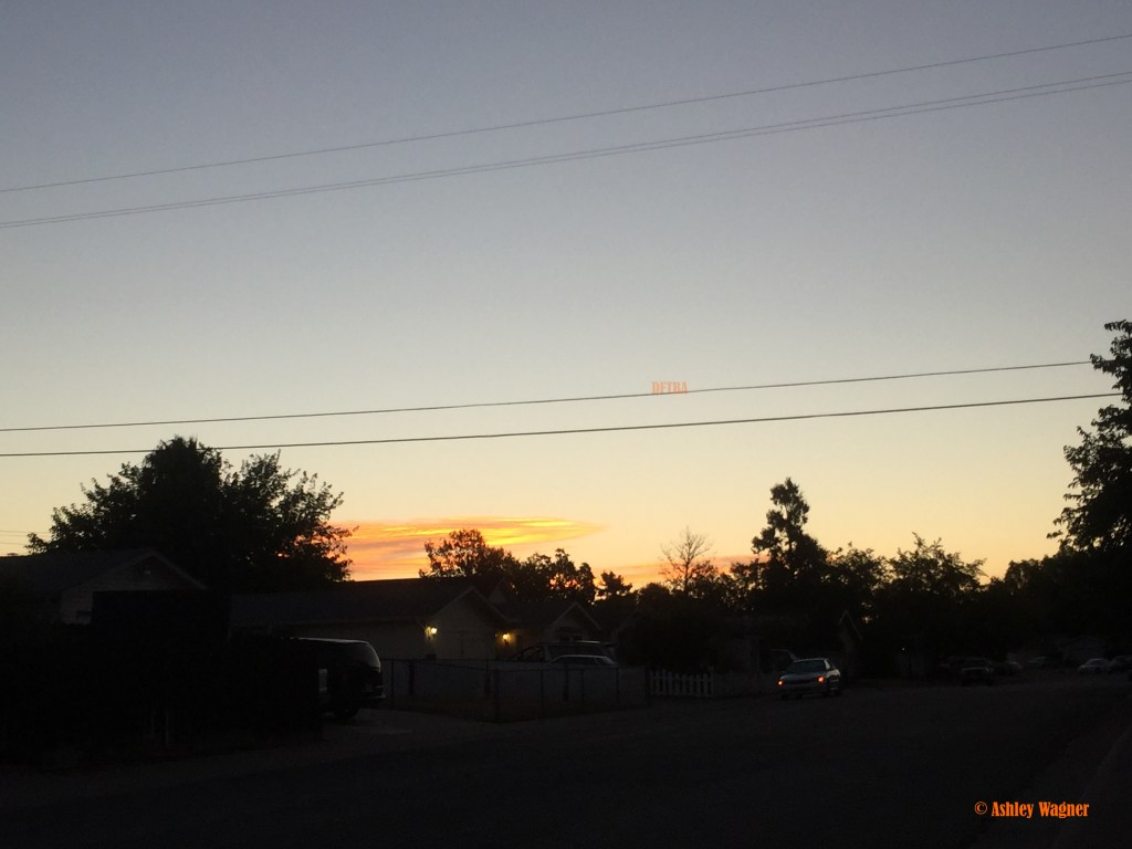 Photo Aug 13, 6 08 08 AM