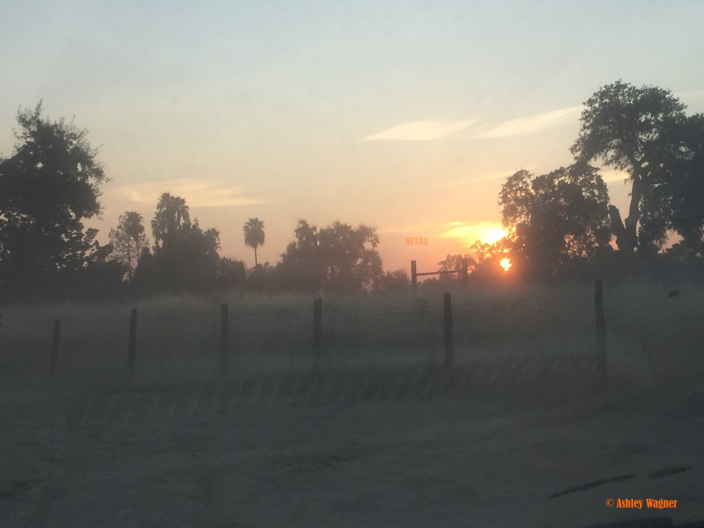 Photo Aug 15, 7 40 13 PM