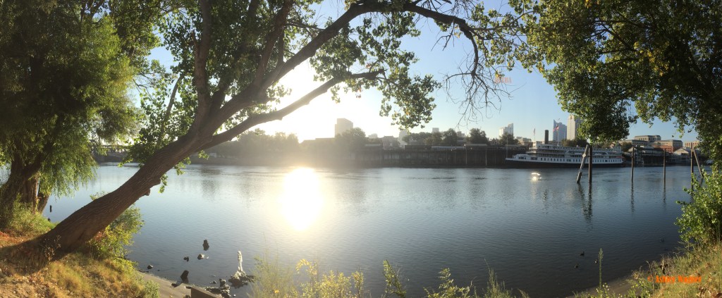 Photo Aug 22, 7 30 30 AM