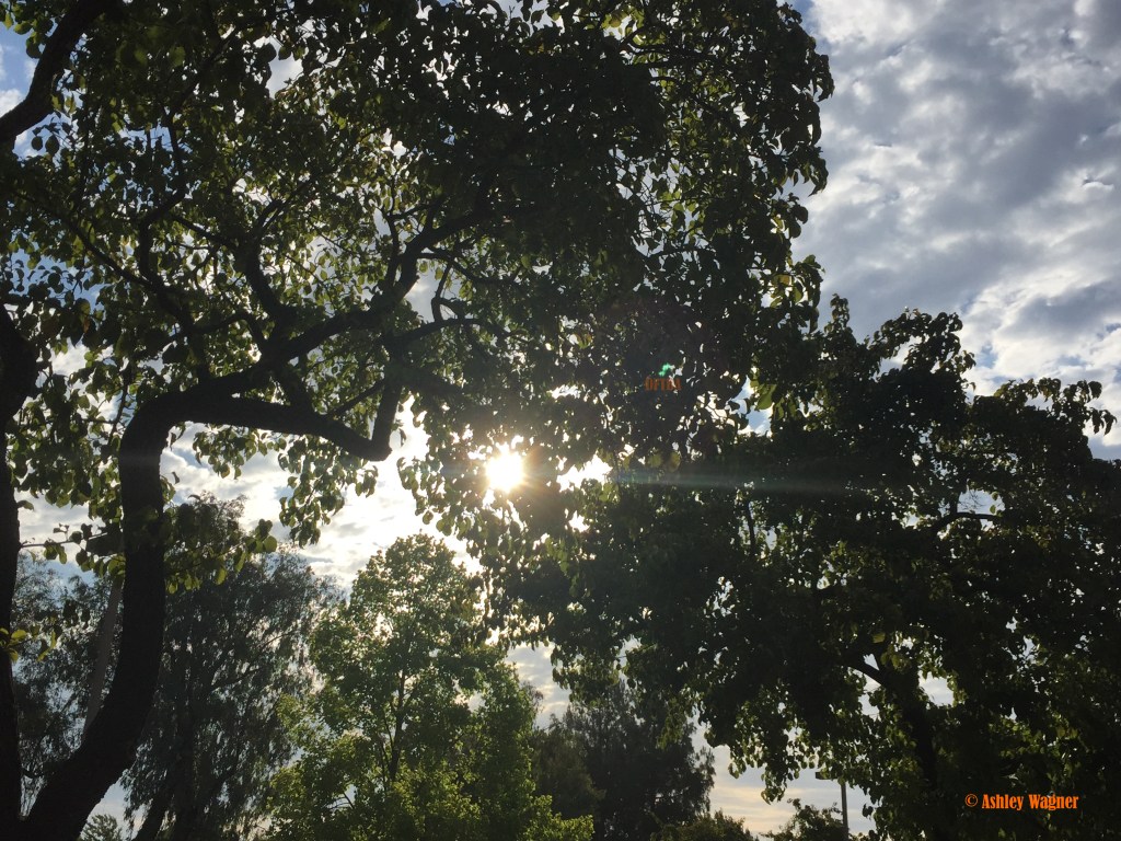 Photo Jul 21, 7 54 23 AM