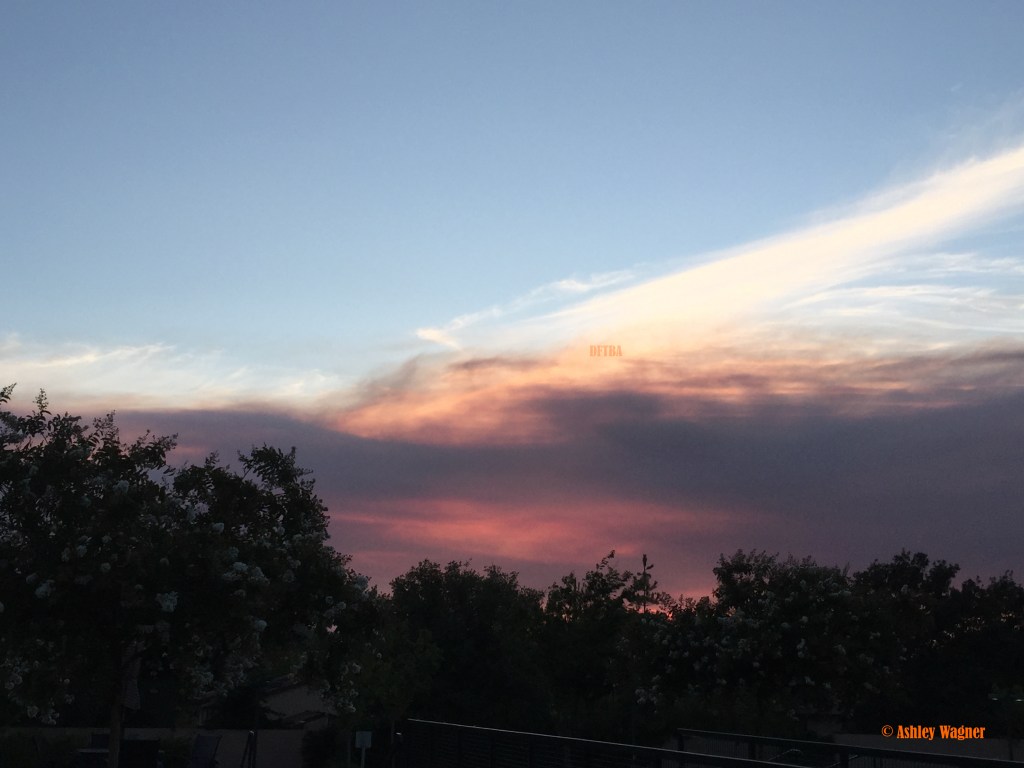 Photo Jul 22, 8 14 57 PM