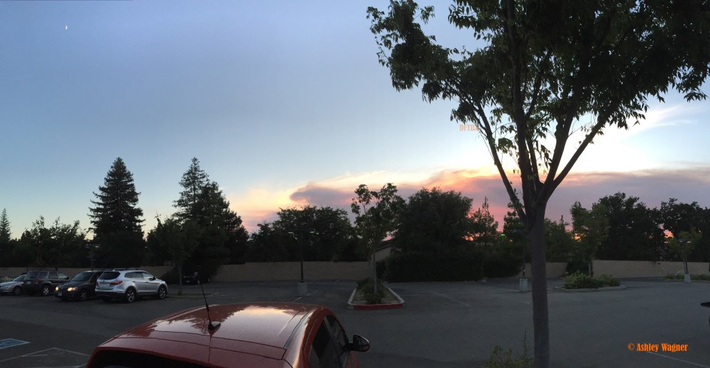 Photo Jul 22, 8 15 56 PM