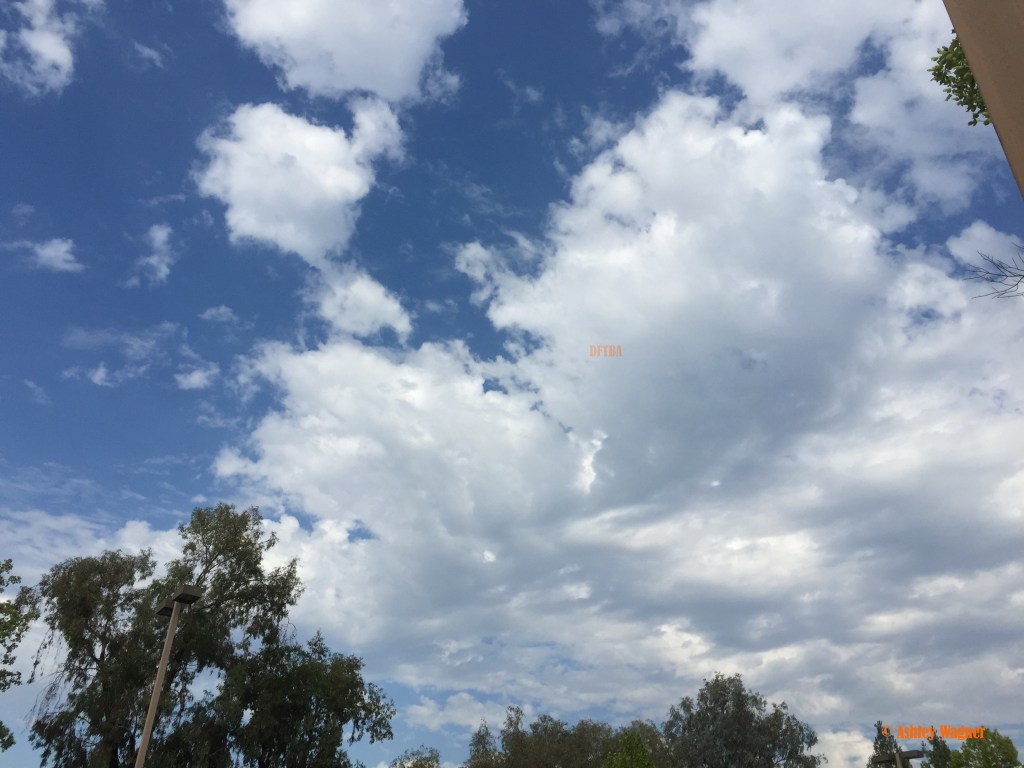 Photo Jul 31, 5 00 11 PM