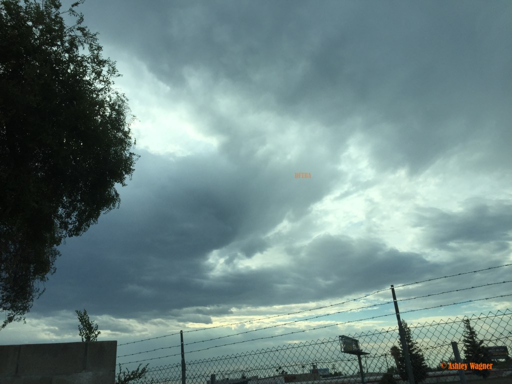 Photo Jul 31, 8 23 03 AM