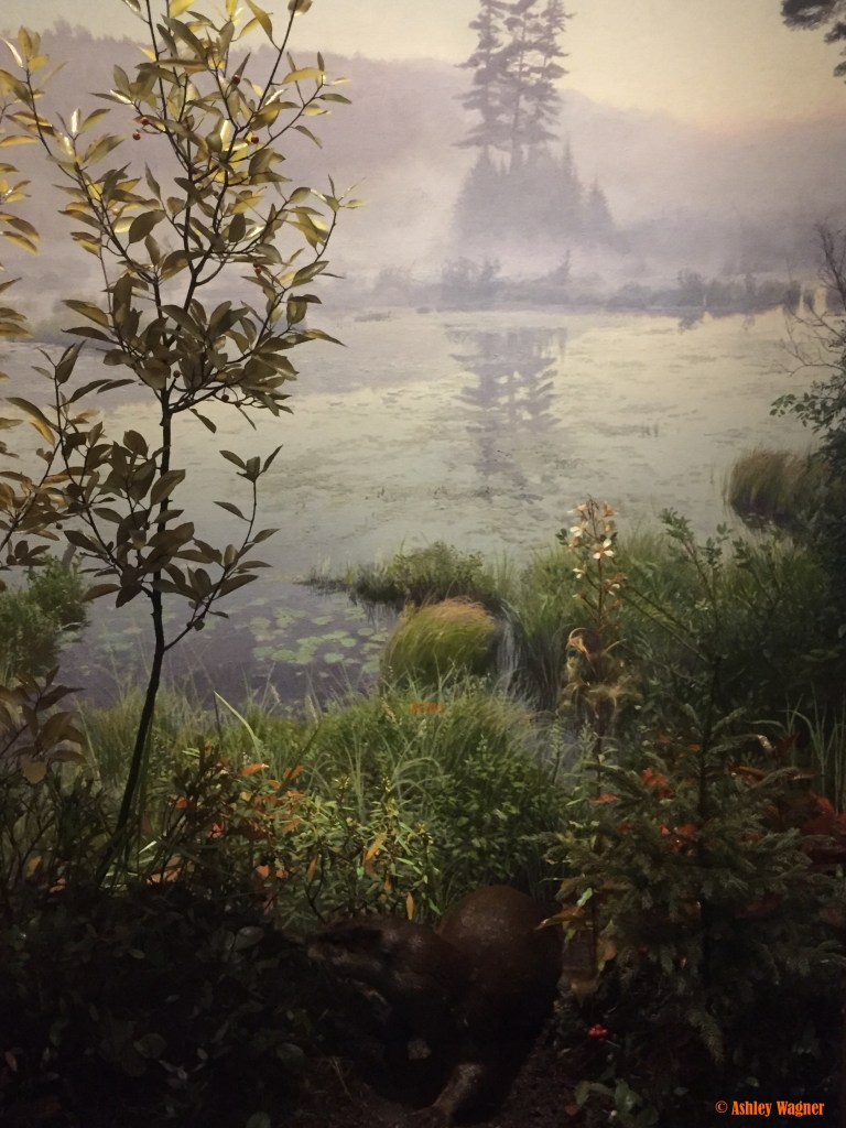 Photo Oct 02, 1 04 48 PM