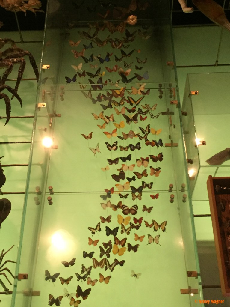 Photo Oct 02, 1 09 03 PM