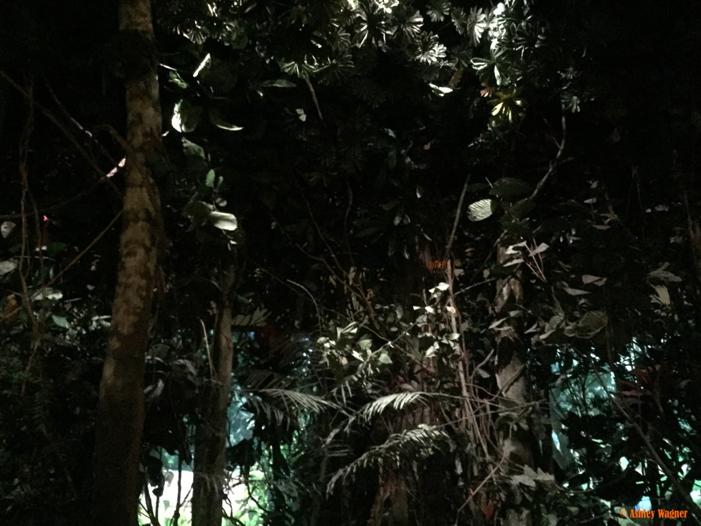 Photo Oct 02, 1 12 01 PM