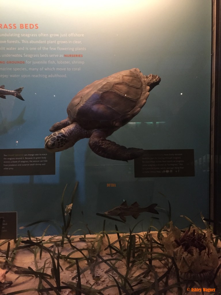 Photo Oct 02, 1 15 42 PM