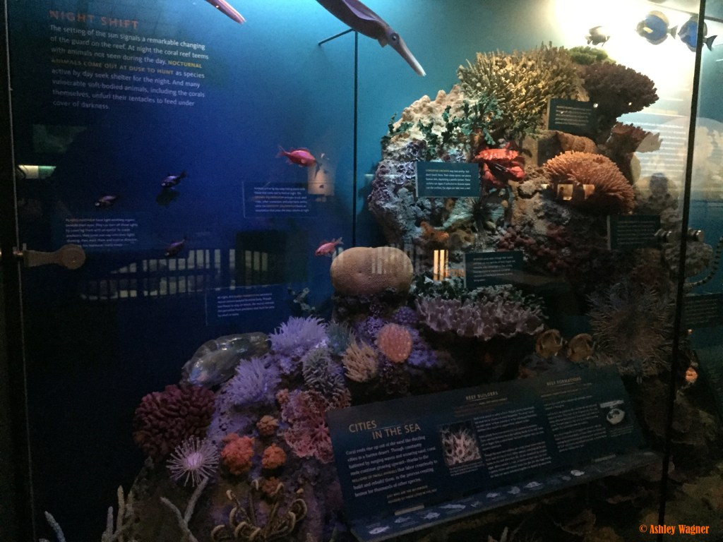 Photo Oct 02, 1 15 56 PM