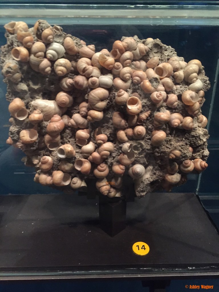 Photo Oct 02, 12 49 32 PM